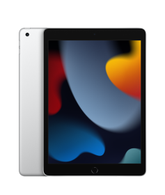 iPad 10.2-inch Wi-Fi + Cellular 256 GB Silver 9. Gen.